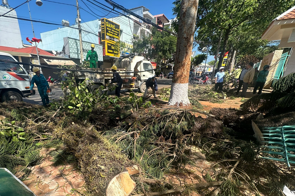 Cô gái bán hoa dịp valentine ở vỉa hè bị cây đổ đè trúng-1