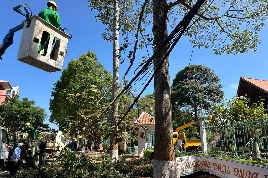 Cô gái bán hoa dịp valentine ở vỉa hè bị cây đổ đè trúng-3