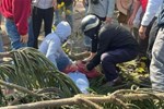 Vụ cô gái bán hoa dịp valentine bị cây đổ đè trúng: Nạn nhân đã tử vong-2