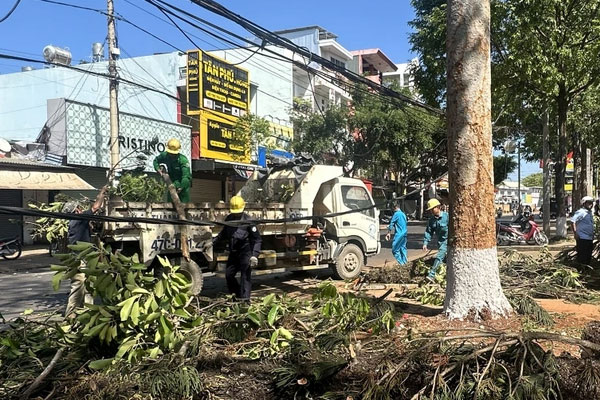 Vụ cô gái bán hoa dịp valentine bị cây đổ đè trúng: Nạn nhân đã tử vong-1