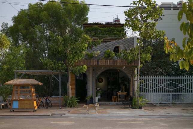 Ngôi nhà ấm áp giống như tổ dế mèn-1