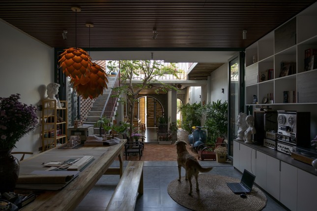 Ngôi nhà ấm áp giống như tổ dế mèn-5