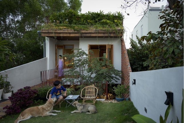 Ngôi nhà ấm áp giống như tổ dế mèn-2