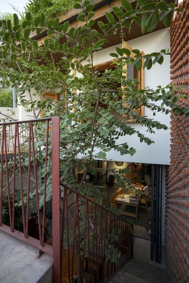 Ngôi nhà ấm áp giống như tổ dế mèn-20