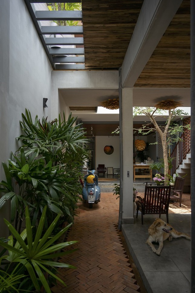 Ngôi nhà ấm áp giống như tổ dế mèn-8