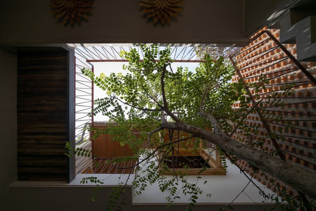 Ngôi nhà ấm áp giống như tổ dế mèn-12