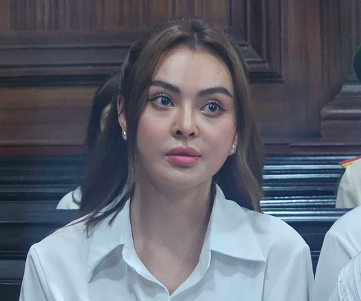 Nhìn lại 3 vụ án người nổi tiếng phạm pháp-3