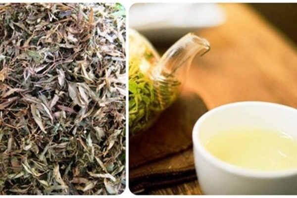 Rễ cây đinh lăng có tác dụng gì với sức khoẻ?-2