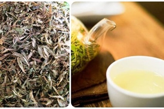 Những người không nên uống nước lá đinh lăng