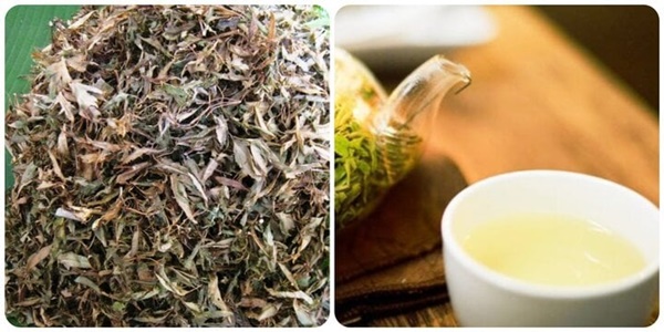 Những người không nên uống nước lá đinh lăng-1