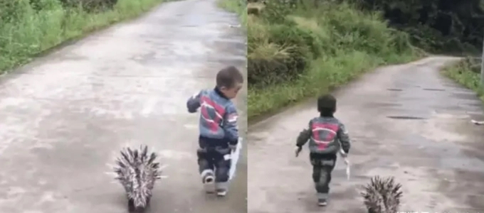 Thấy con trai chạy ra khỏi nhà, mẹ lén đi theo xem thử: Nhìn thứ con dắt theo cùng, mẹ vừa ôm bụng cười vừa kéo con về vội-1