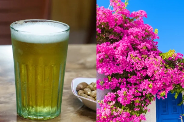 Trước nhà có 3 thứ càng to càng dễ trôi mất tài lộc, gia chủ cần khắc phục ngay-3