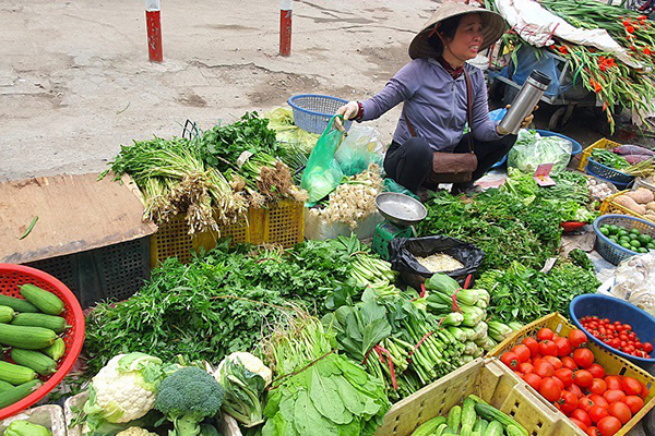 Giá nhà chung cư Hà Nội lại lập ngưỡng mới-4