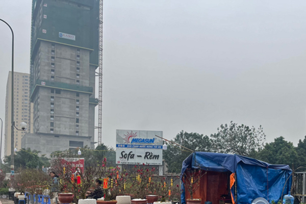 Dân buôn đào quất vừa ăn quả đắng vụ Tết-3