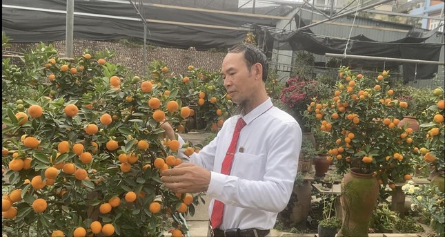 Dân buôn đào quất vừa ăn quả đắng vụ Tết-2