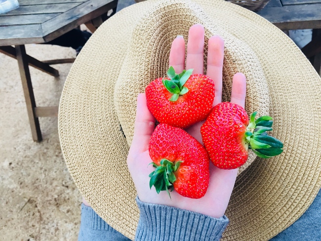 Dâu tây đang vào mùa rộ, tận dụng để ăn vừa tăng sinh collagen vừa cực tốt sức khỏe-2