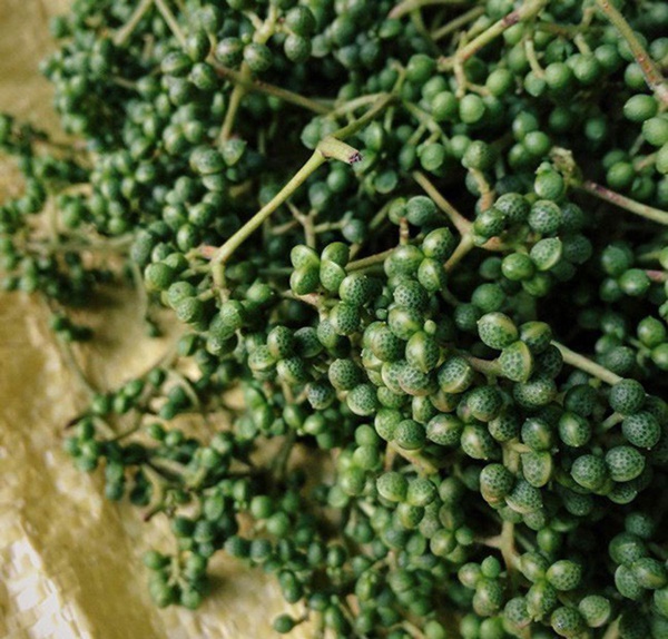 Đệ nhất gia vị Tây Bắc xưa giá rẻ bèo, nay là đặc sản đắt đỏ-1