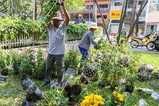 Người kinh doanh tồi mới phải đập bỏ hoa trên phố