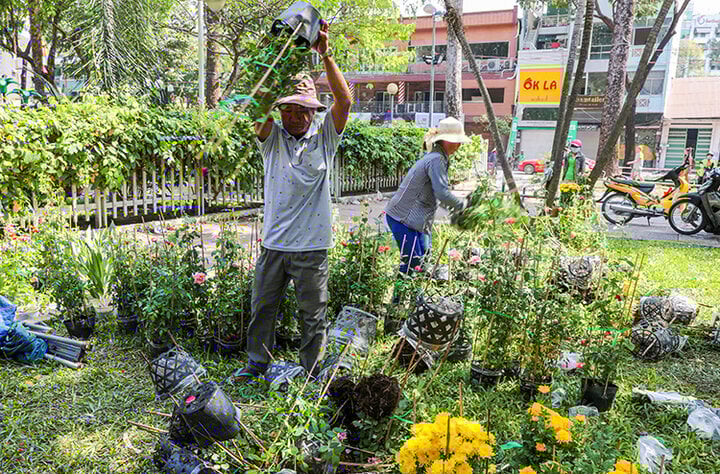 Người kinh doanh tồi mới phải đập bỏ hoa trên phố-1