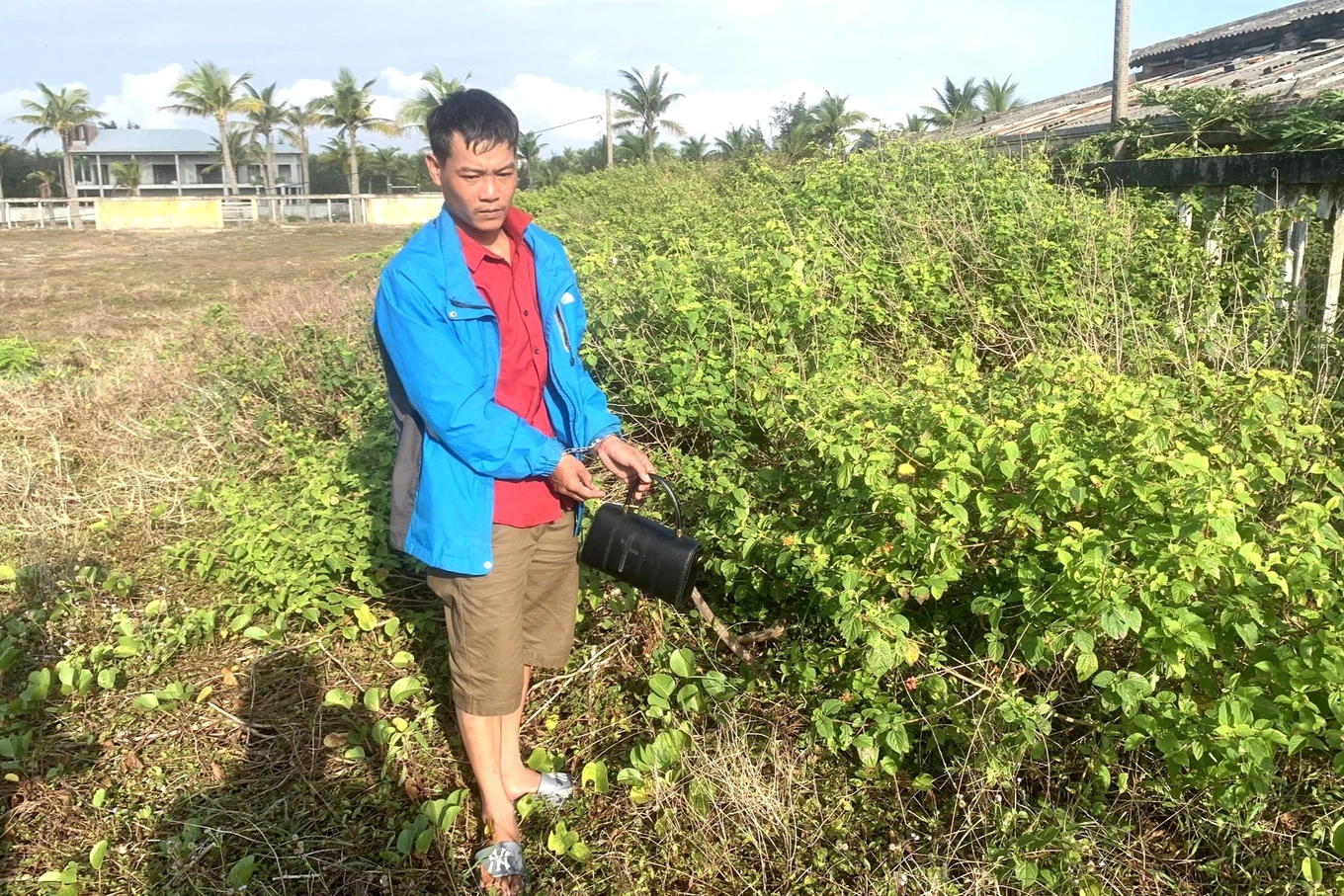 Mang 140 triệu đồng đi gửi tiết kiệm, chưa đến ngân hàng đã bị cướp-1