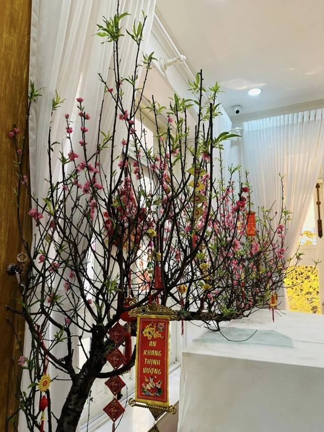 Vy Oanh khoe vườn trong biệt thự ra Tết lộc lá sum suê, hoa nở rực rỡ, cành đào đơm trái to-3