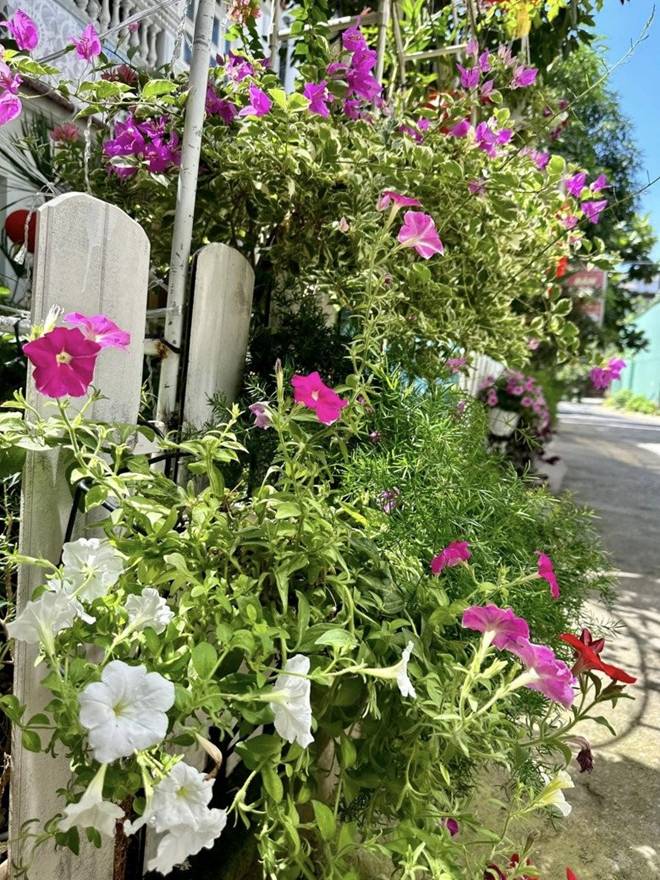 Vy Oanh khoe vườn trong biệt thự ra Tết lộc lá sum suê, hoa nở rực rỡ, cành đào đơm trái to-14