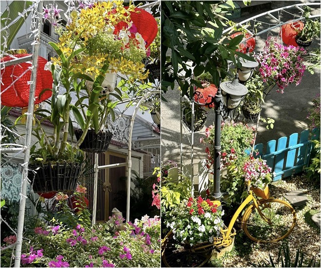 Vy Oanh khoe vườn trong biệt thự ra Tết lộc lá sum suê, hoa nở rực rỡ, cành đào đơm trái to-16