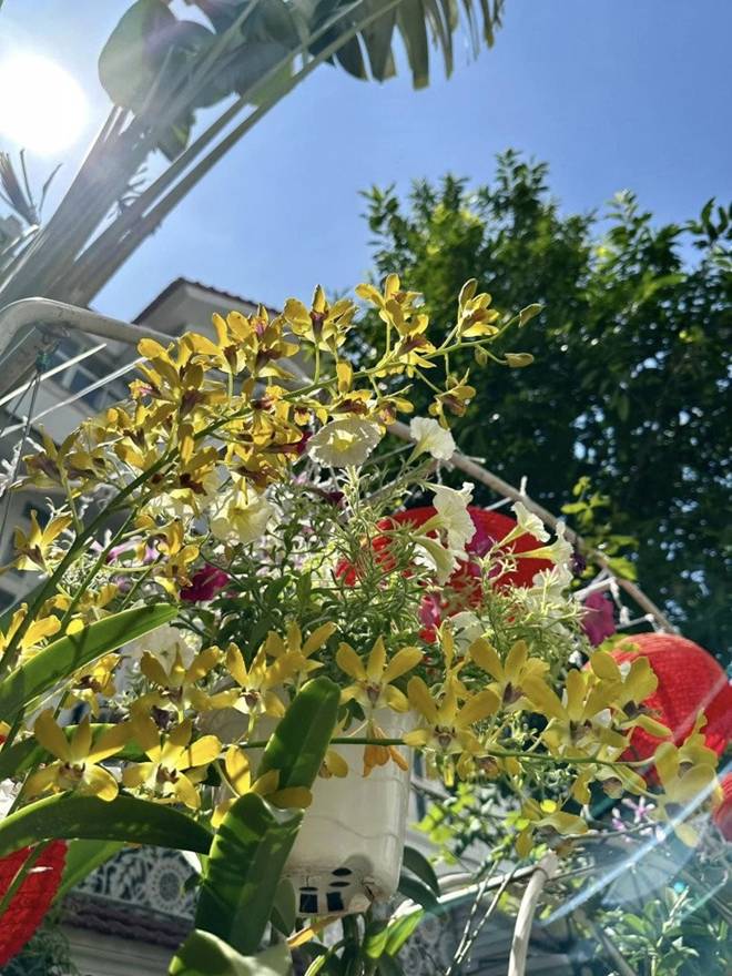 Vy Oanh khoe vườn trong biệt thự ra Tết lộc lá sum suê, hoa nở rực rỡ, cành đào đơm trái to-17