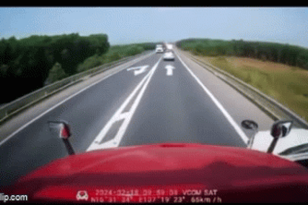 Khách chi tiền triệu, dùng xe kéo lễ vào dâng Đền Ông Hoàng Mười-13