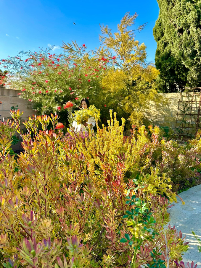 Biệt thự ở Mỹ của phú bà” phim Mai - Hồng Đào: Hoa lá ngập tràn như resort, chụp vu vơ cũng có cả tá ảnh sống ảo-19