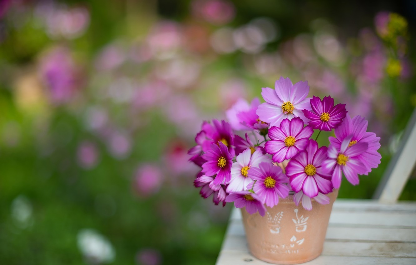 Phất lên như diều: Ai sinh tháng Âm lịch này ra Giêng làm ăn khấm khá, nhiều đất đai, của cải-3