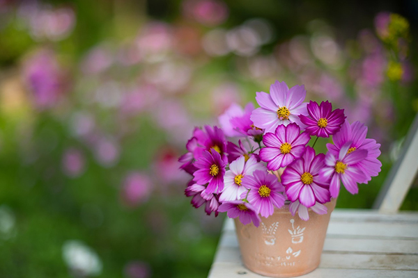 Không ung dung nhưng sung túc, 4 con giáp này bứt phá trong nửa đầu năm 2024, cuối năm gánh vàng, gánh bạc về nhà-5