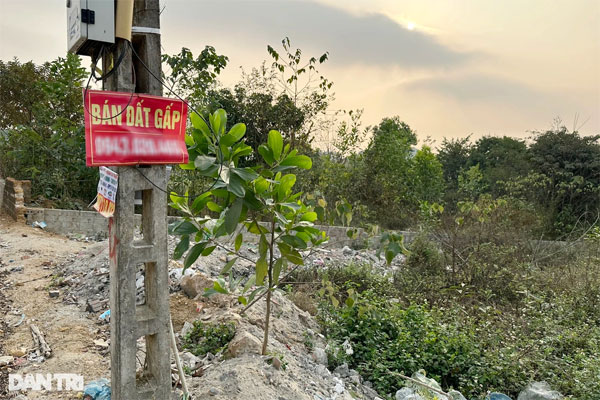 Liều mua đất lúc sốt, sau 2 năm gánh cả đống nợ-1