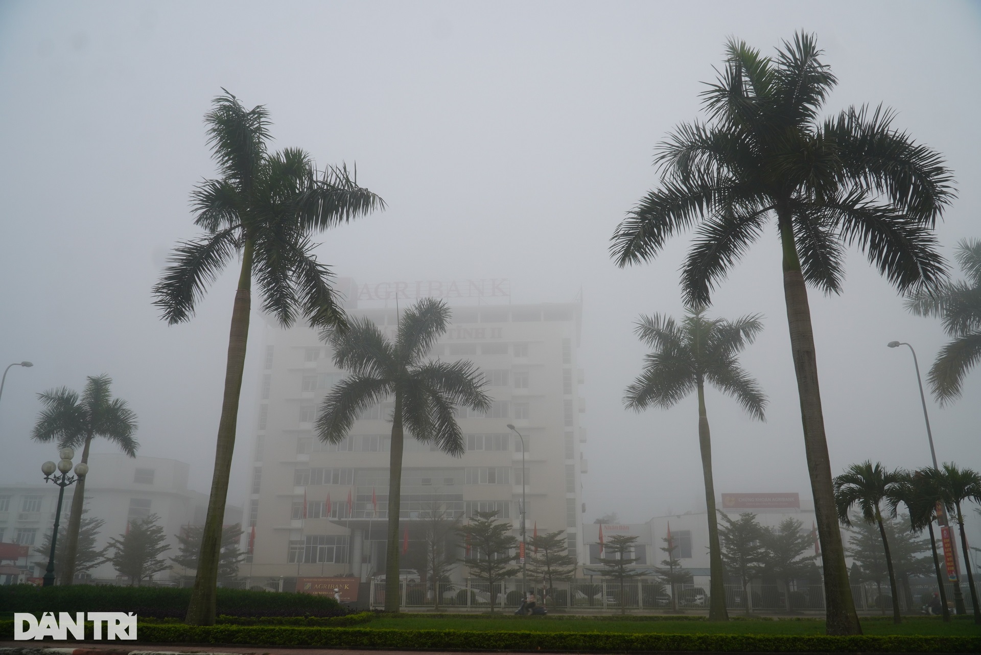 Sương mù bao phủ, Hà Tĩnh mờ ảo như Đà Lạt-4