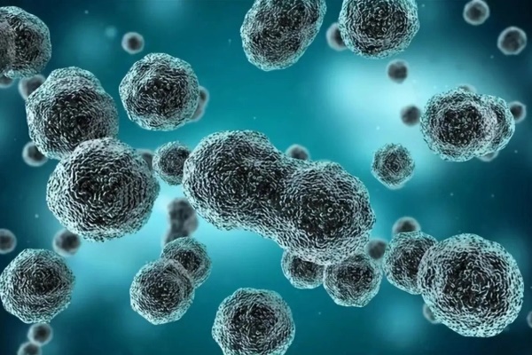 Tổ chức Y tế Thế giới: Benzopyrene là chất gây ung thư cấp độ 1, luôn ẩn chứa trong 2 loại thực phẩm quen thuộc này-3