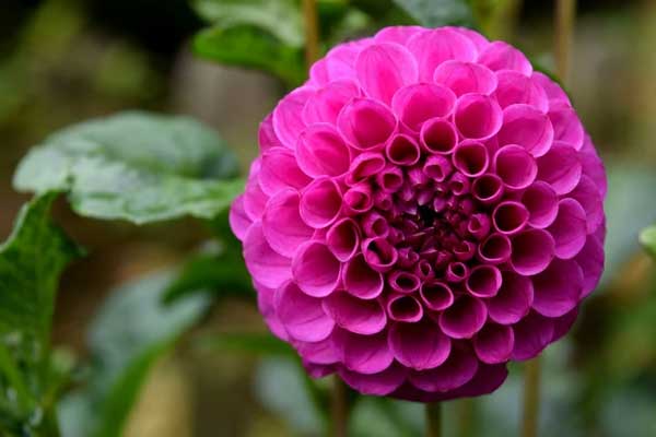 Đại vận rực rỡ: 3 con giáp đổi vận phát tài ngay sau ngày vía Thần Tài, chăm chỉ ắt thành công-3