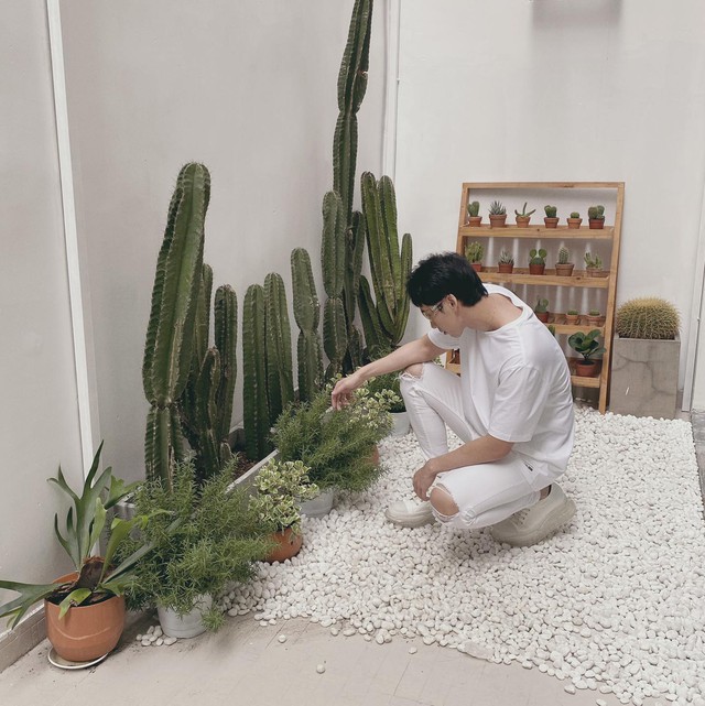 Bên trong căn nhà độc lạ của nam chính đang hot nhất phòng vé, thiếu gia phim Mai - Tuấn Trần-21