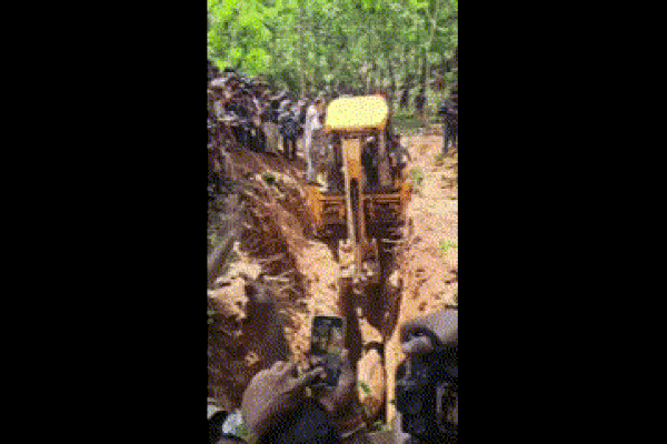 Cố tình tiếp cận voi rừng, cô gái bất ngờ bị hất văng xuống đất-1