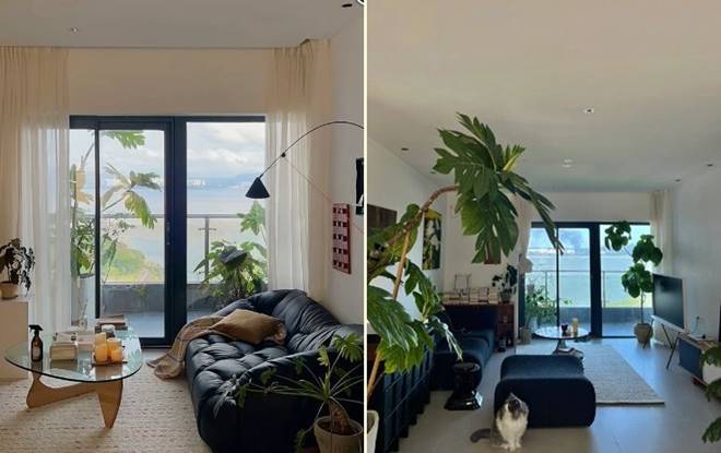 Chàng trai thuê chung cư cao cấp 65 triệu/tháng, tự tay trang trí mọi ngóc ngách khiến căn hộ thật ấm cúng-9