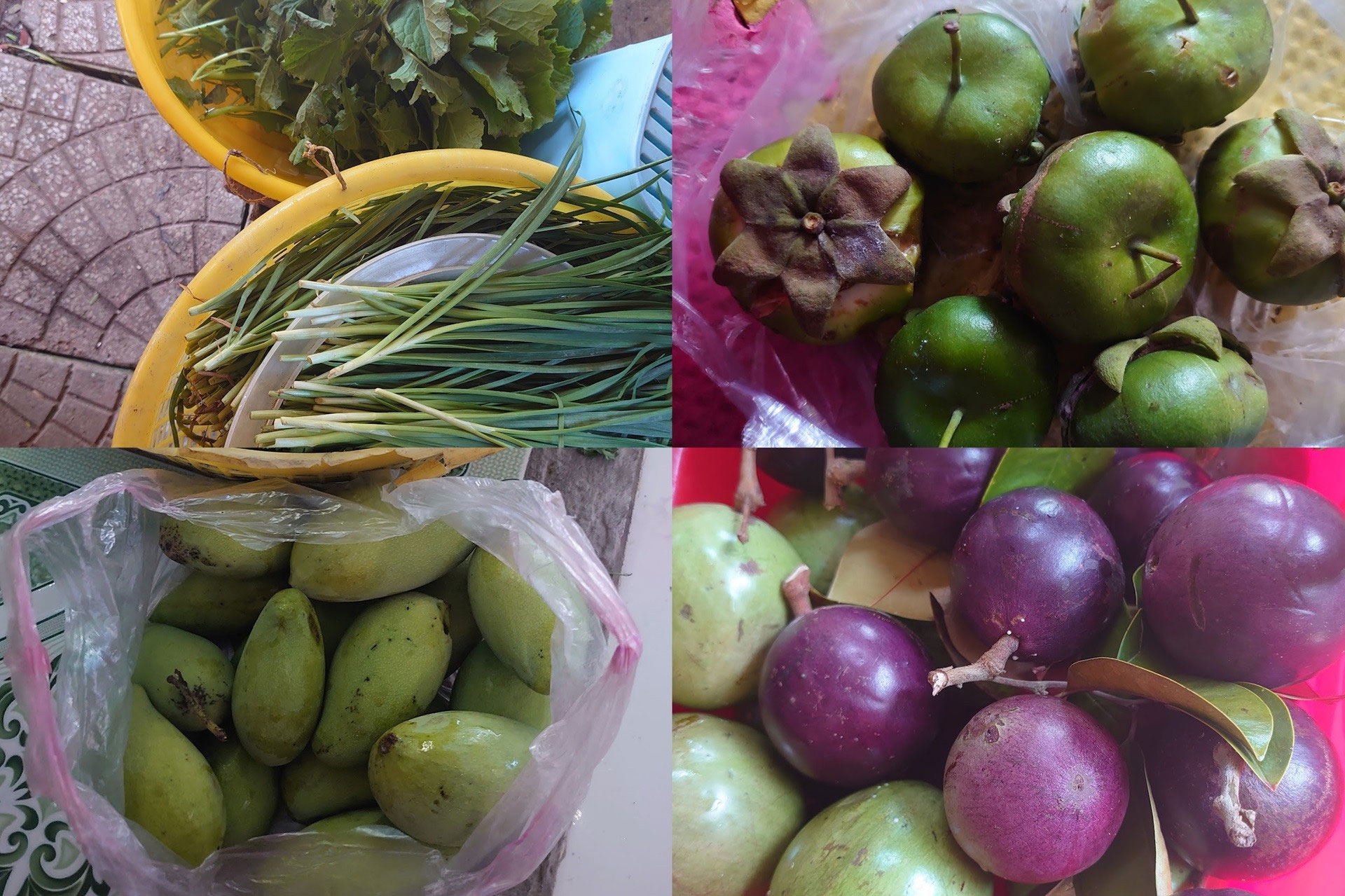 Về quê ngoại ăn Tết, chỉ nghe cậu nói một câu mà lòng tôi ấm áp lạ thường-2