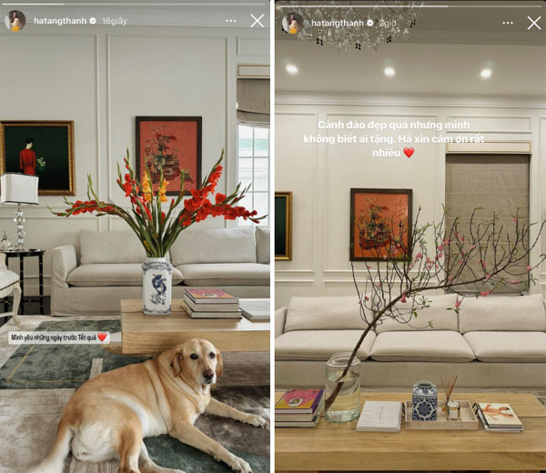 Dẫu giản dị nhưng Tăng Thanh Hà không thể thiếu 2 loài hoa kinh điển: Hết Tết vẫn đẹp!-3