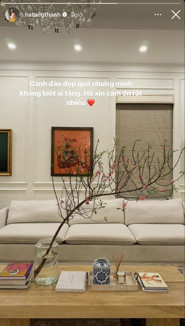 Dẫu giản dị nhưng Tăng Thanh Hà không thể thiếu 2 loài hoa kinh điển: Hết Tết vẫn đẹp!-4