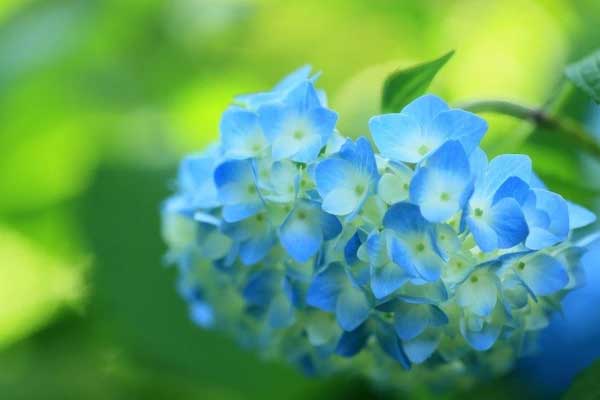 Linh hoạt, sáng tạo: Sang tháng 3, 3 con giáp vượt mọi chông gai, phát tài không ngừng-2