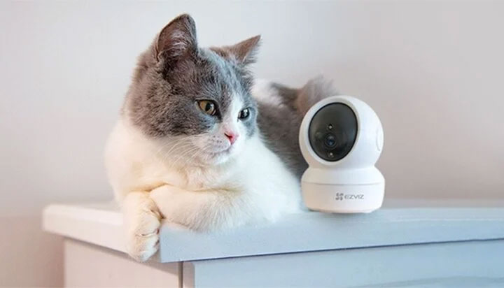 Dùng máy theo dõi thú cưng, chồng phát hiện vợ ngoại tình-1