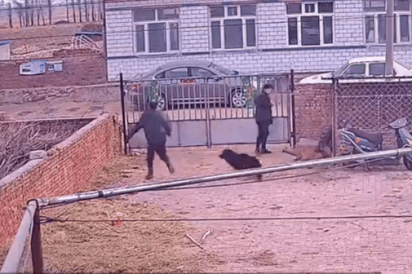 Clip: Bước xuống xe buýt, người phụ nữ bị xe máy đâm văng trở lại xe-1