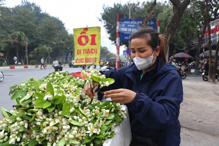 Hoa bưởi đầu mùa giá tới nửa triệu đồng/kg vẫn hút khách Hà Thành-5
