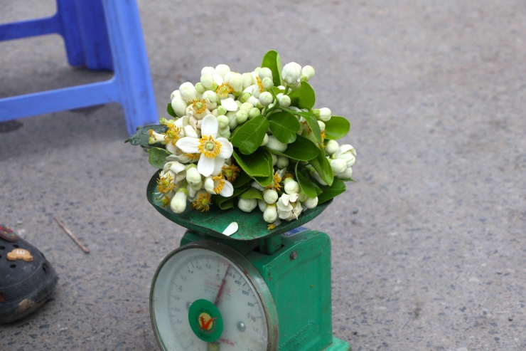 Hoa bưởi đầu mùa giá tới nửa triệu đồng/kg vẫn hút khách Hà Thành-6