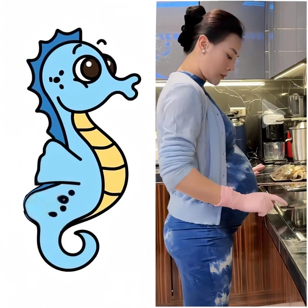 Lộ diện ngoại hình chân thực của Phương Oanh khi mang bầu 7 tháng, vợ shark Bình còn tự so sánh mình với con cá ngựa-1