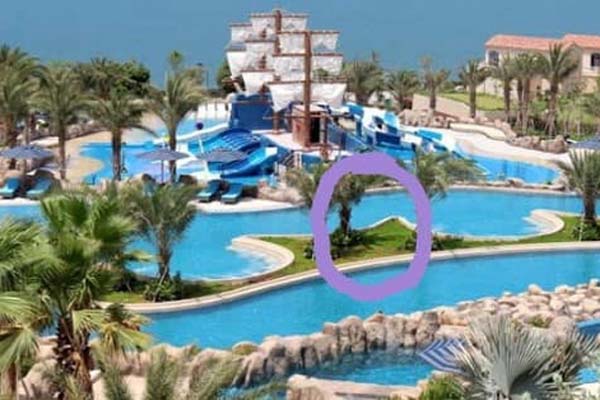 Trùm hóa đơn điều hành 26 công ty, thu lời bất chính 41 tỷ đồng thế nào?-3