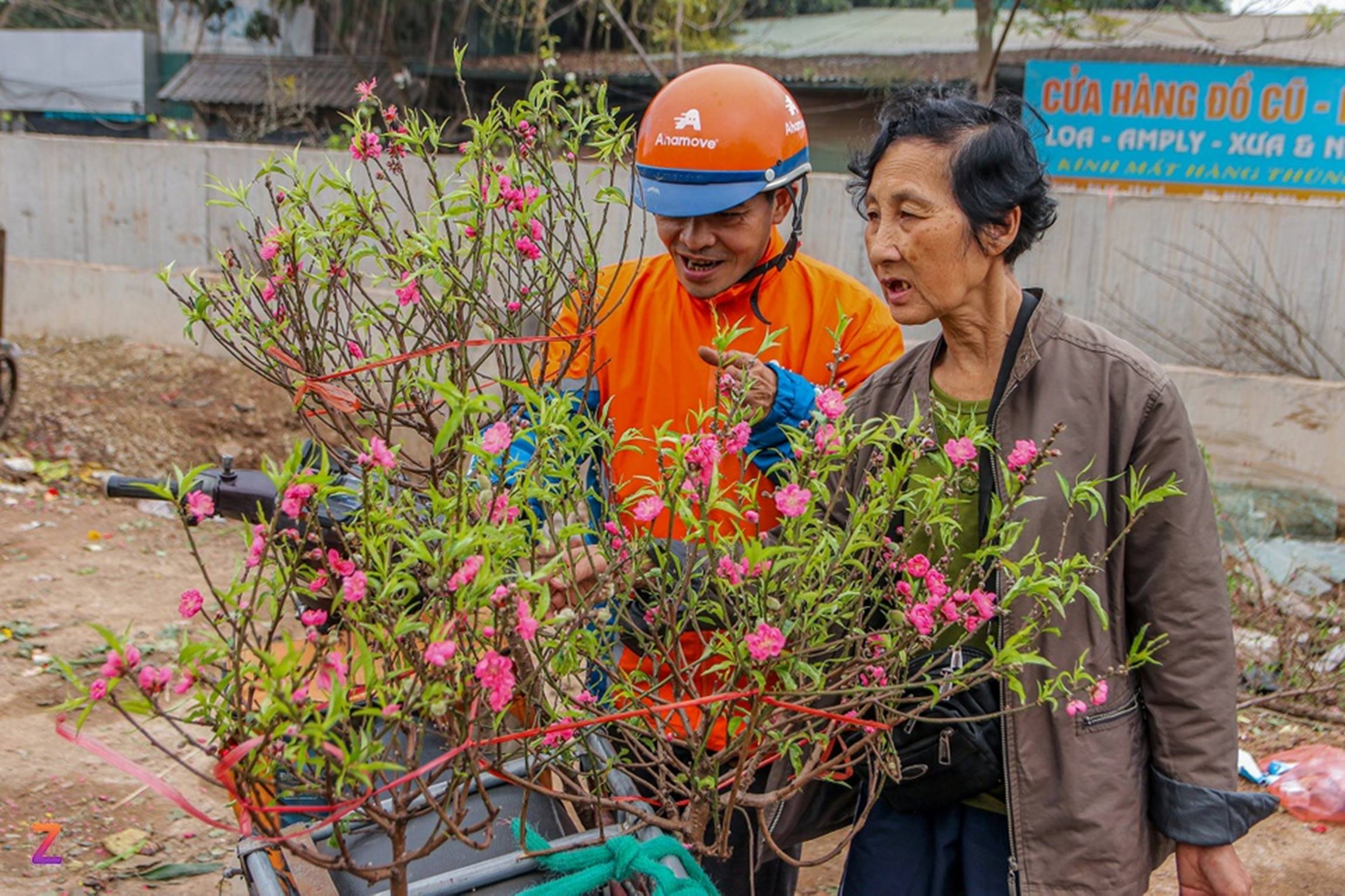 Tiểu thương lỗ hàng trăm triệu, chấp nhận bán rẻ đào, quất sau Tết-4